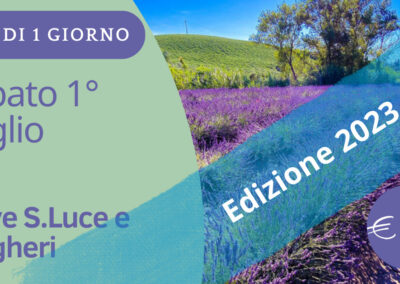 Tra Lavanda e Vino