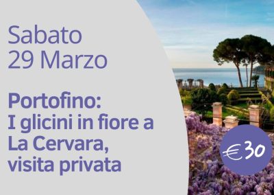 Glicine in Fiore a La Cervara di Portofino