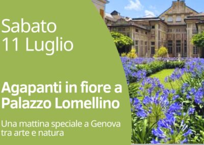 Agapanti in fiore a Palazzo Lomellino